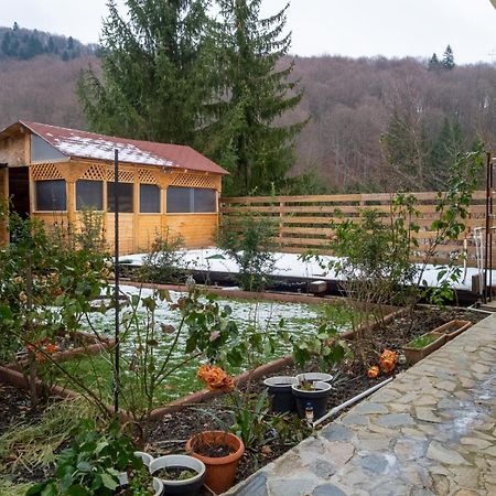 Casa Nicolas Buşteni Eksteriør billede